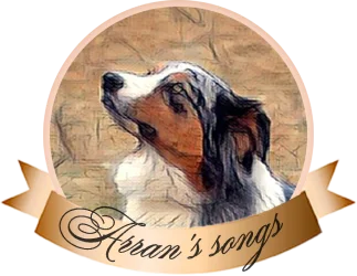 arran's songs logo